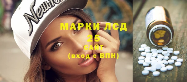сатива Вяземский