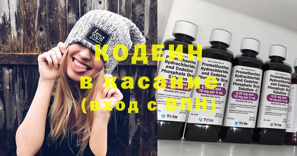 сатива Вяземский
