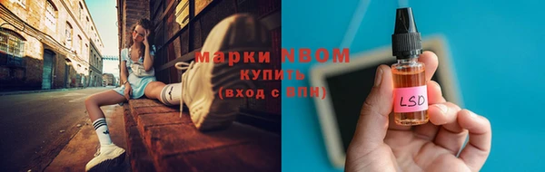 трава Гусь-Хрустальный