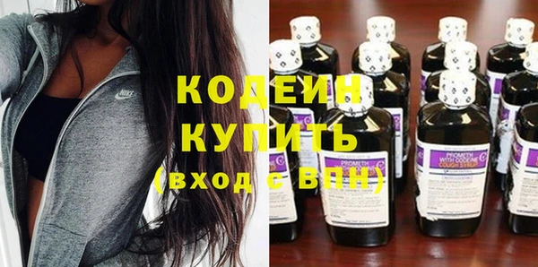 сатива Вяземский