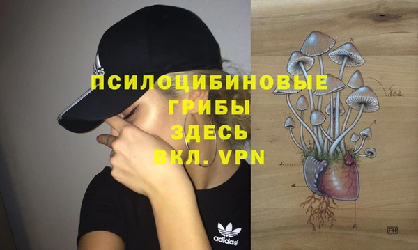 мет Горняк