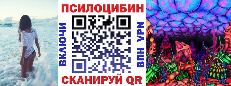 Псилоцибиновые грибы прущие грибы  как найти закладки  Ефремов 